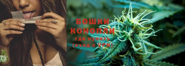 ECSTASY Мегион