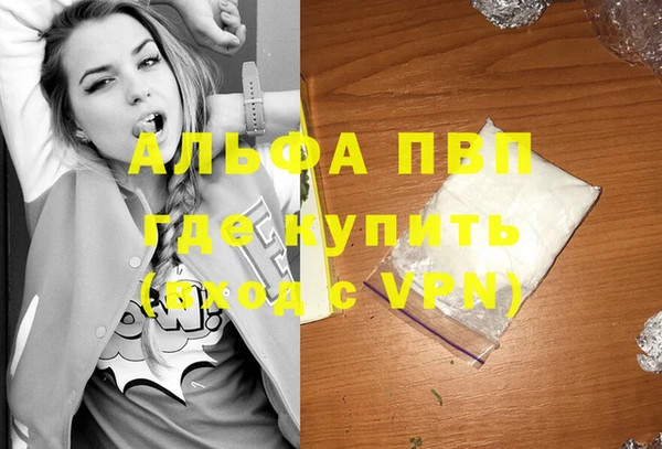 молекула духа Магадан
