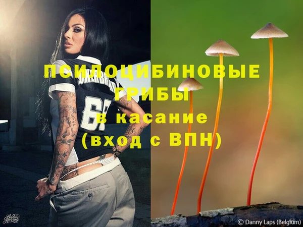 метадон Медногорск