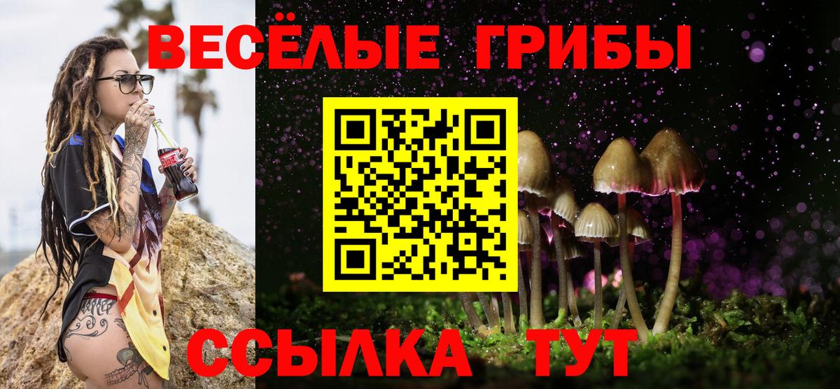 Галлюциногенные грибы Magic Shrooms Новочебоксарск