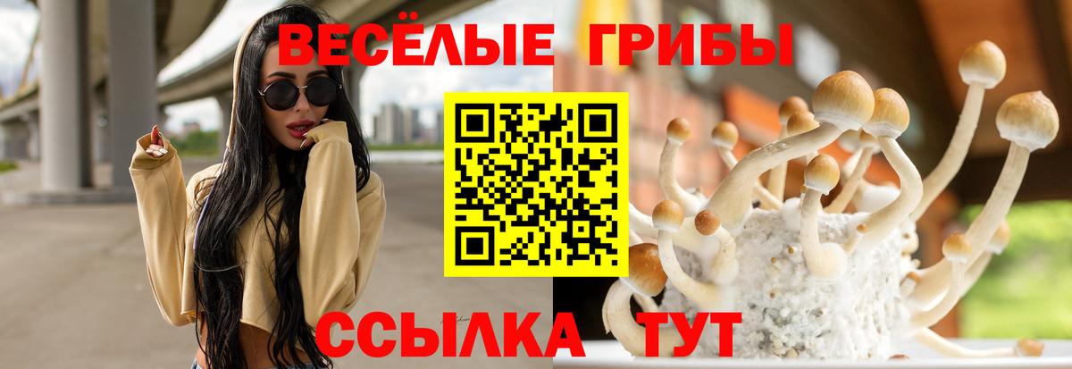 Псилоцибиновые грибы MAGIC MUSHROOMS  Вход с VPN  Галлюциногенные грибы GOLDEN TEACHER  Новочебоксарск 